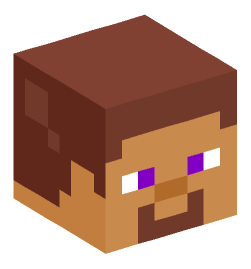 Minecraft head — Miscellaneous