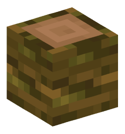 Minecraft head — Blocks