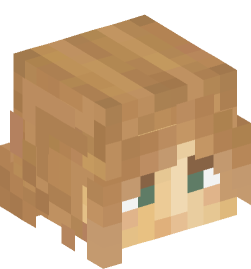 Minecraft head — People