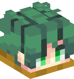 Minecraft head — People