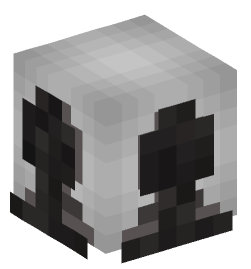 Minecraft head — Decor