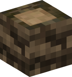 Minecraft head — Blocks