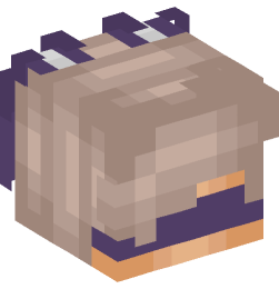 Minecraft head — People