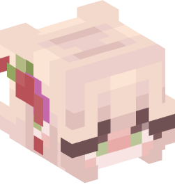 Minecraft head — People