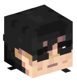 Minecraft head — People