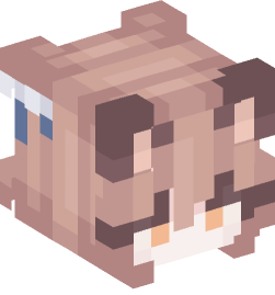 Minecraft head — People