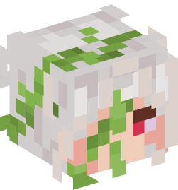 Minecraft head — People