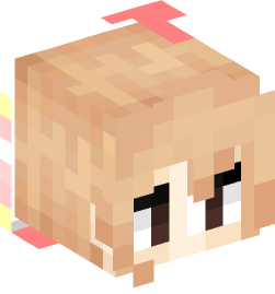 Minecraft head — People