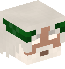 Minecraft head — Creatures