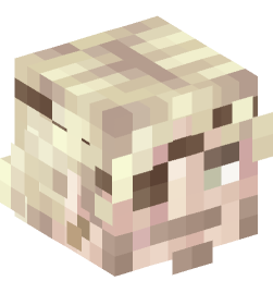 Minecraft head — People