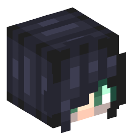 Minecraft head — People