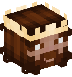 Minecraft head — People