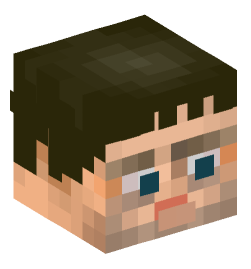 Minecraft head — People