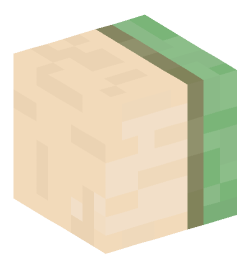 Minecraft head — Decor