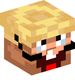 Minecraft head — People