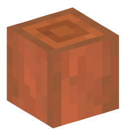 Minecraft head — Blocks