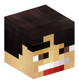 Minecraft head — People