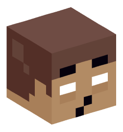 Minecraft head — Miscellaneous