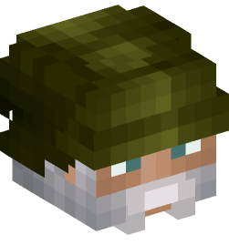 Minecraft head — People