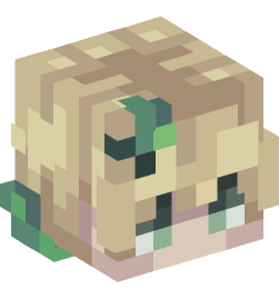 Minecraft head — People