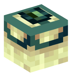 Minecraft head — Decor