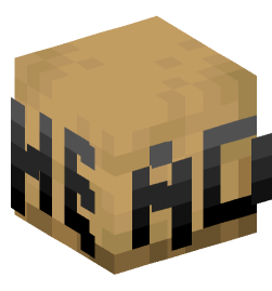 Minecraft head — Decor