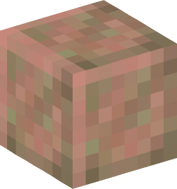 Minecraft head — Blocks