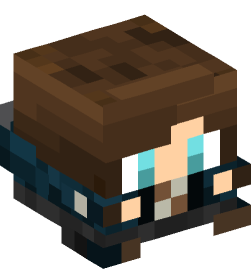 Minecraft head — Decor