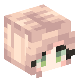 Minecraft head — People