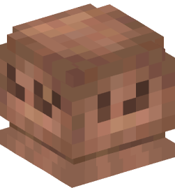 Minecraft head — Decor