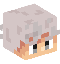 Minecraft head — People