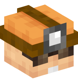 Minecraft head — People