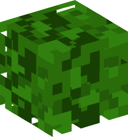 Minecraft head — Plants