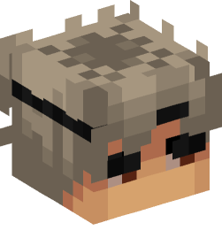 Minecraft head — People