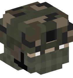 Minecraft head — People