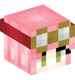 Minecraft head — People