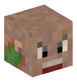 Minecraft head — People