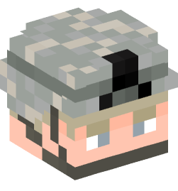 Minecraft head — People