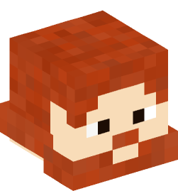 Minecraft head — People