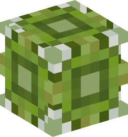 Minecraft head — Blocks