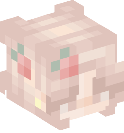 Minecraft head — People