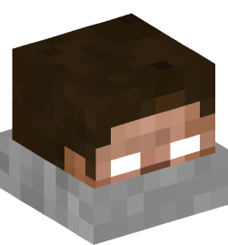 Minecraft head — Decor