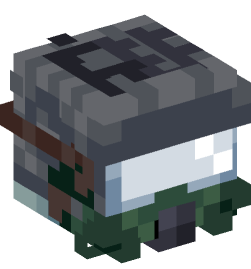 Minecraft head — People