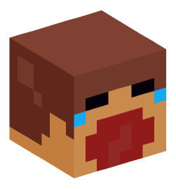 Minecraft head — Miscellaneous