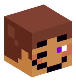 Minecraft head — Miscellaneous