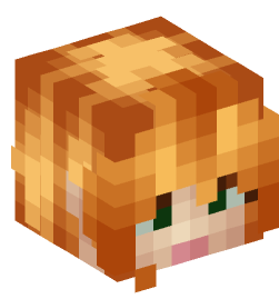 Minecraft head — People