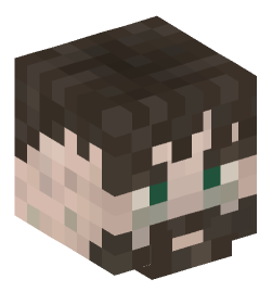 Minecraft head — People