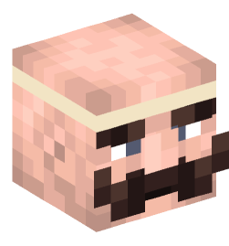 Minecraft head — People
