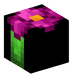 Minecraft head — Decor