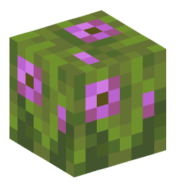 Minecraft head — Plants